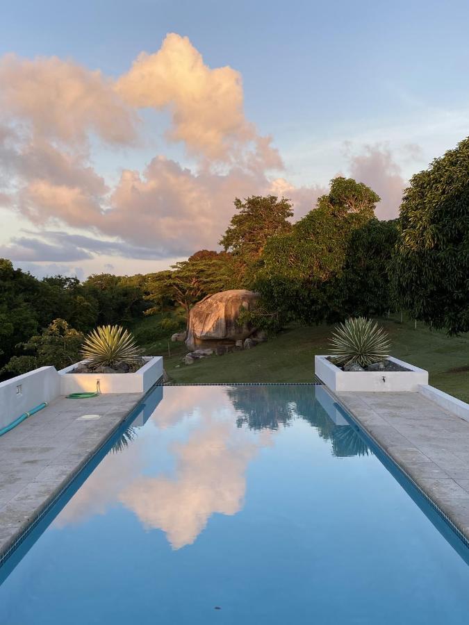 Lejos Eco Retreat Hotell Vieques Exteriör bild